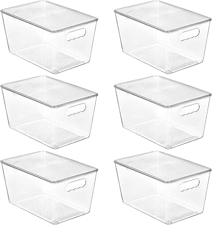 YAN & HIN clear plastic storage bins with lids and handles